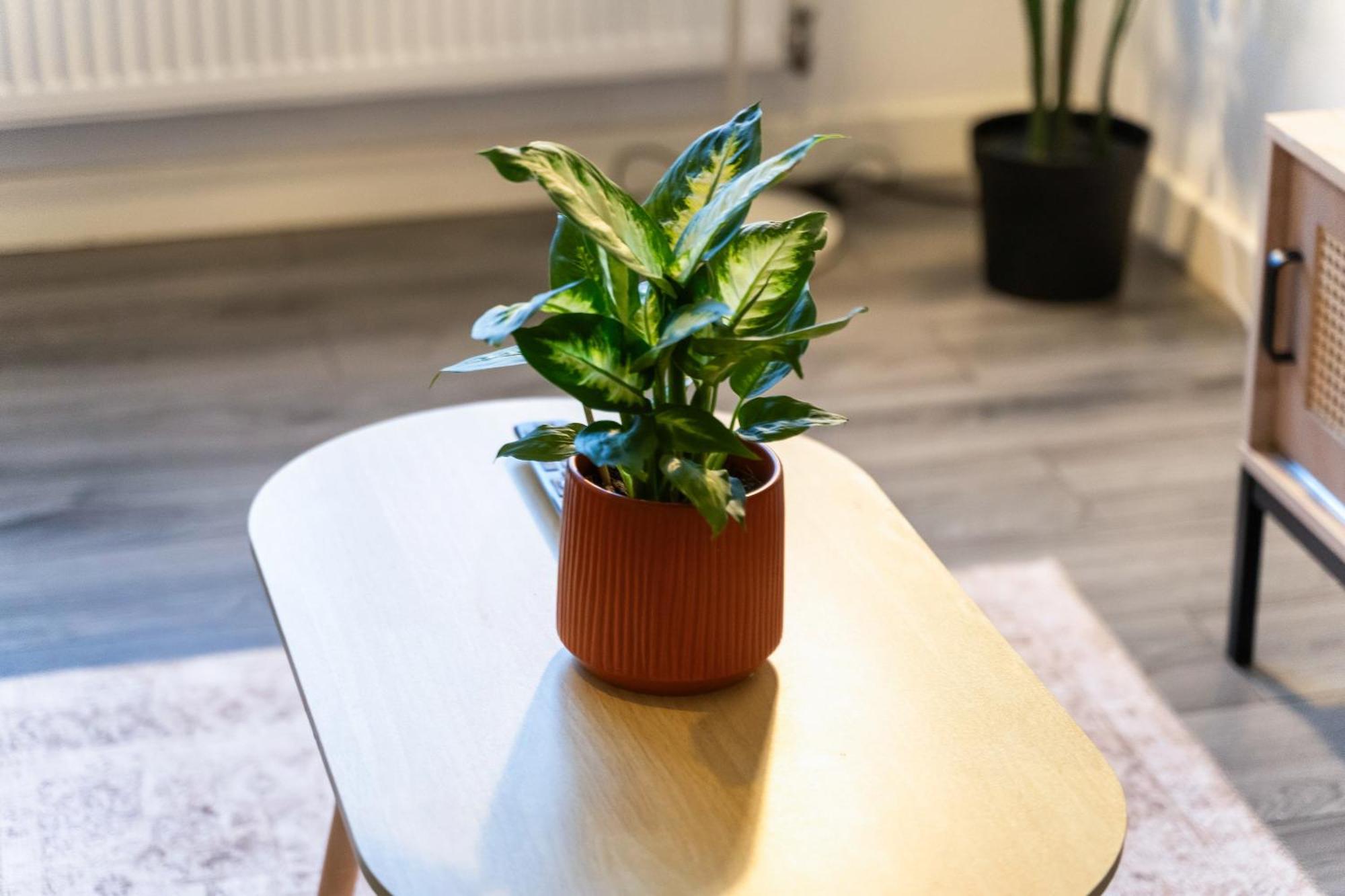 Stylish New Apartment - Free Wifi & Netflix - Top Rated - 3Mh Cradley Heath Kültér fotó